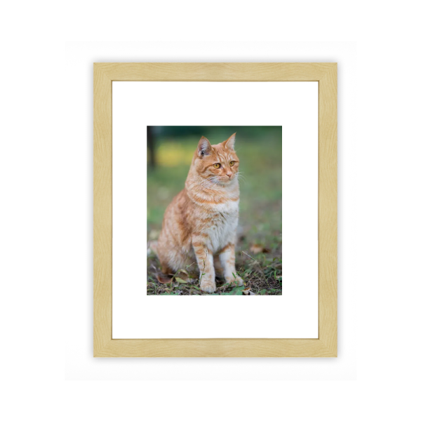 KA002-030-BX - Image 5